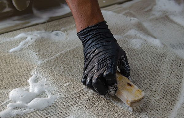 Nhận giặt thảm ở Houston: dịch vụ giặt thảm chuyên nghiệp giá rẻ